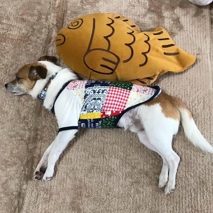 Dd21b3a8 0352 424e 85b2 f4bf4428a560 1559822406915