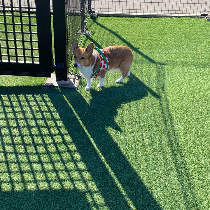 Dd21f5b9 e4b3 4a26 91cb 643a175b8dae 1705482979963