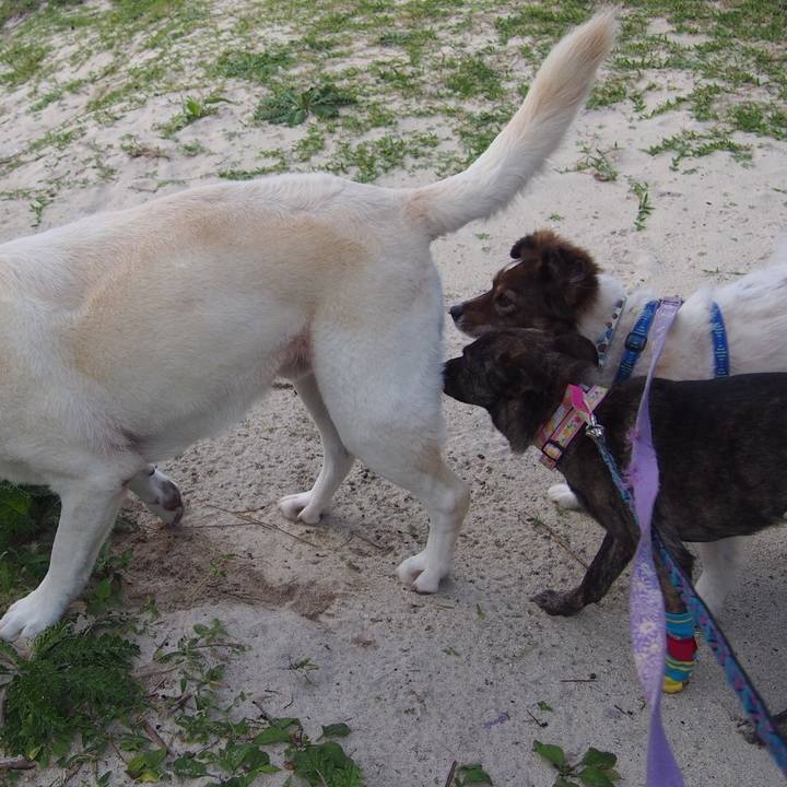 Dd223015 0109 4f80 b610 ba6934e80503 1548232875571