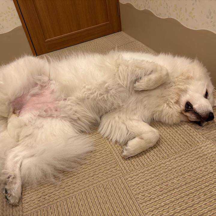 Dd226403 2a47 42b0 b6d9 df5b994be8dc 1761859466751