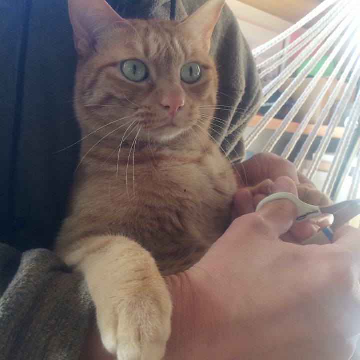 Dd228eed ae58 42dd 8535 a937b3d6d902 1548456871376