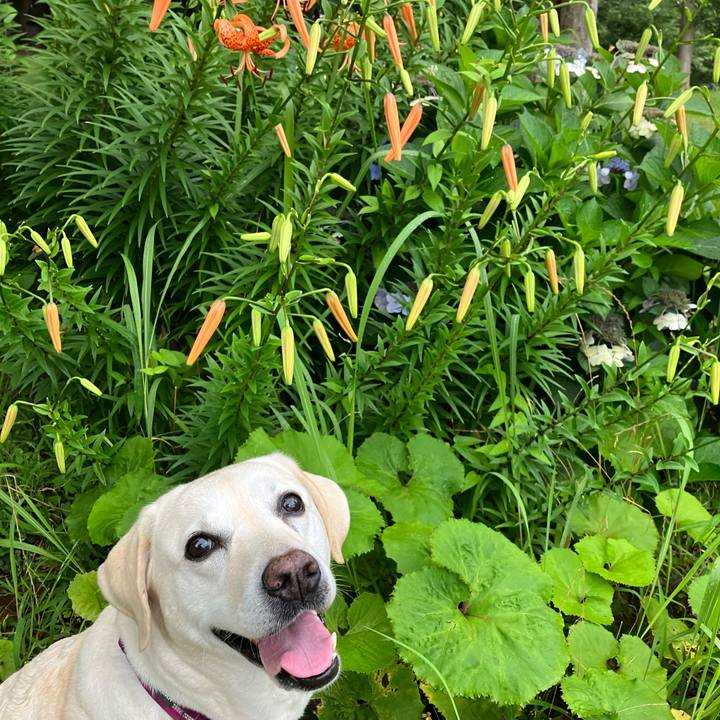 Dd229eb4 a937 4fbb 8215 f746564d72c1 1688418396741