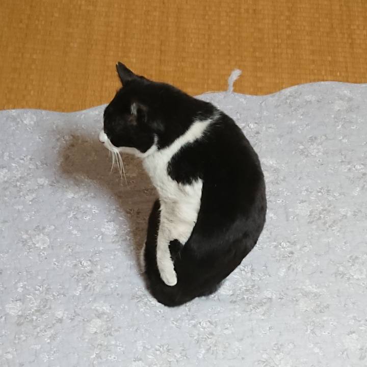 Dd22bf0b c571 493d 92e0 d4bda2d88f78 1673495318832