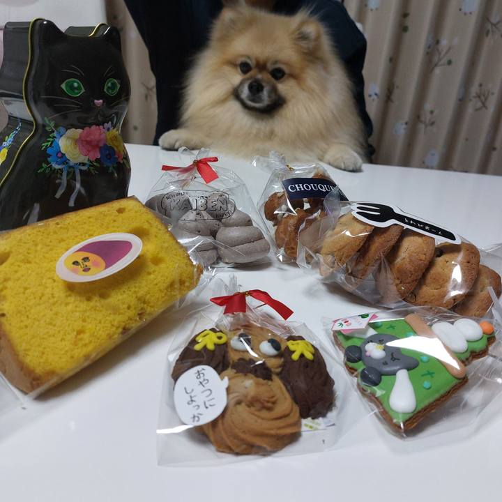 Dd22d17a 3c2f 4c5d b0f8 0eac967e9e99 1736513435163