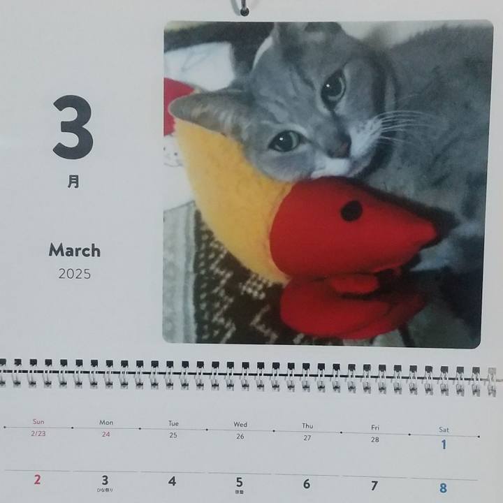 Dd22d3d6 700f 41f9 a288 9f31dd54875b 1740781718279