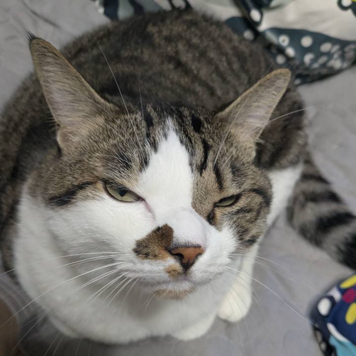 Dd22d911 2b90 43c1 9f67 ad24be7fdf1f 1755992030024