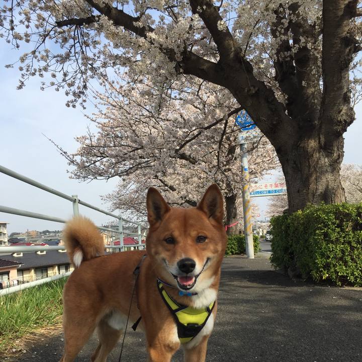 Dd2313a7 074c 486f 99ed a3d391aed7a2 1616856240887