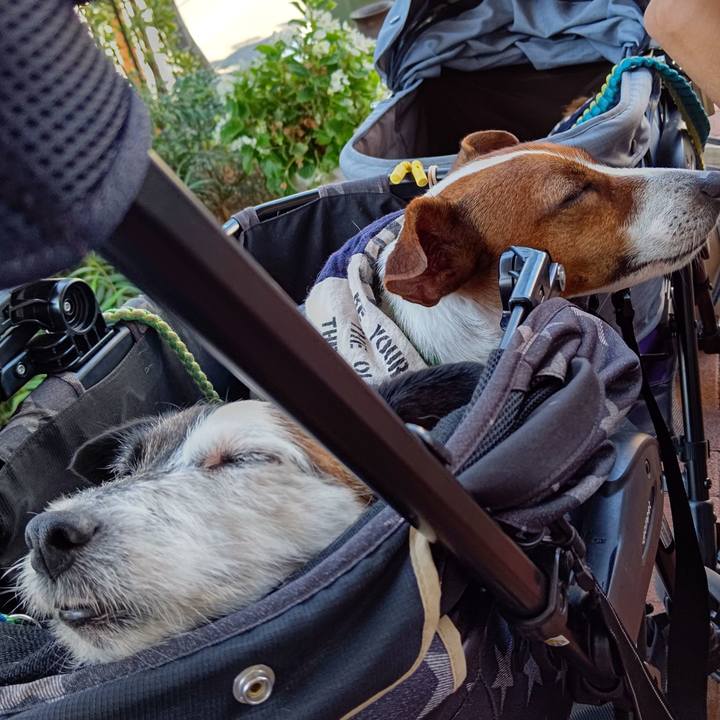 Dd2356ba 3337 4c98 9872 38e2f04722c9 1632389247356