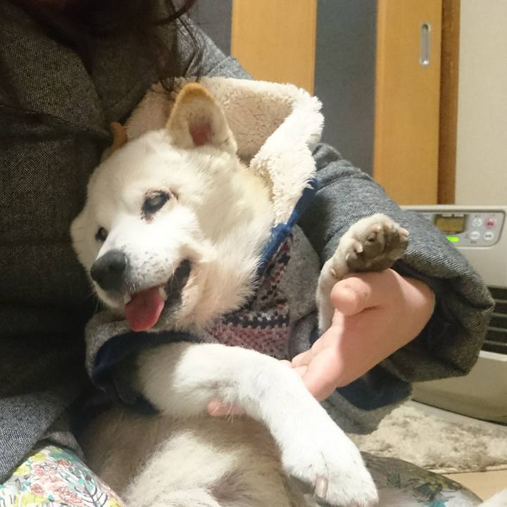 Dd2367e4 6c30 4ce5 9d6b bcd66a8c4dc7 1516190644335