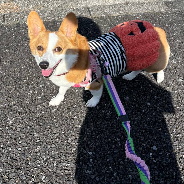 Dd236f9d c3f4 4a0f b607 a93f8d1b6e77 1761710624532