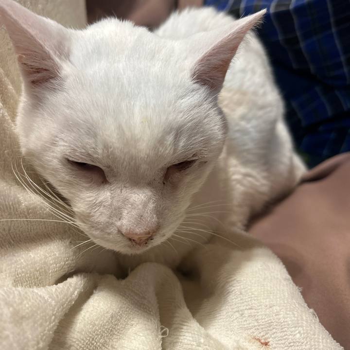 Dd239224 e216 49a6 9afe 7e341d2ef222 1702503324355