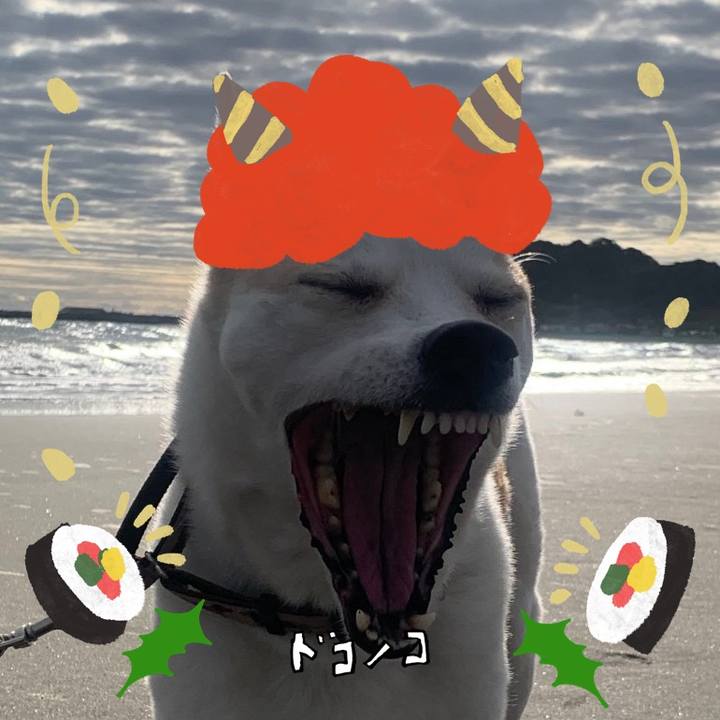 Dd23bc77 f316 4dbb ab16 889d8c1af9a7 1707019131986