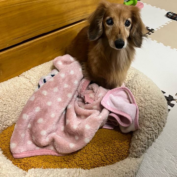 Dd23f8d3 cb66 433e 89e4 80a72b7db682 1673955261713