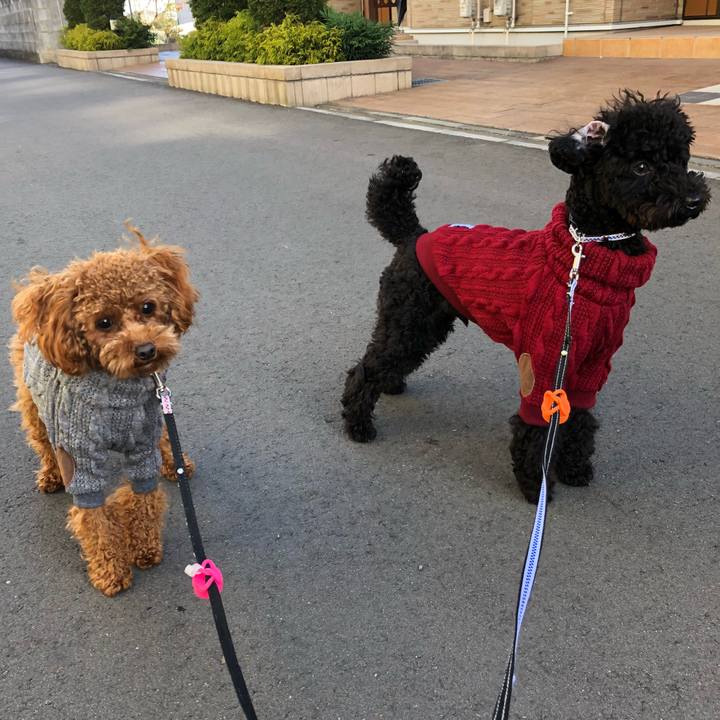 Dd2402aa cc5e 4a4b 925d 82e26f96e45f 1513480827936