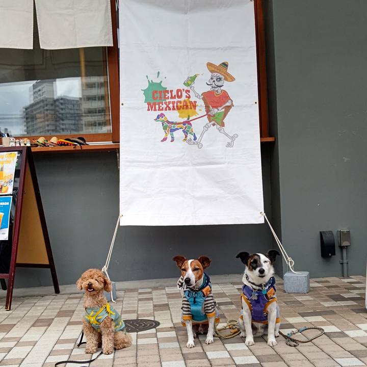 Dd2419fb d8a3 4dc9 a340 704e228541e1 1717934220502