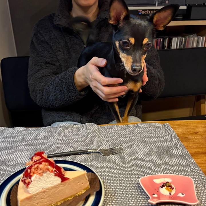 Dd242409 a0d6 4ce4 b401 31471cf1e6cc 1764134920931