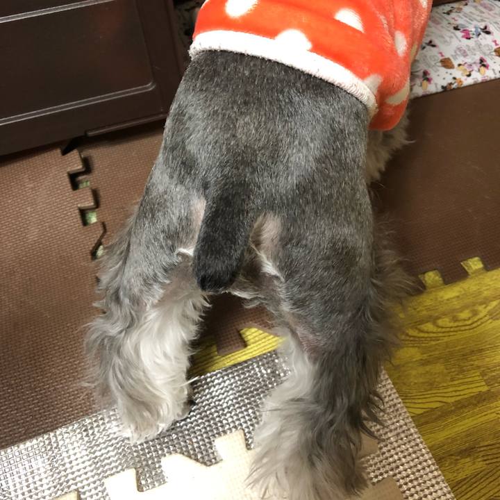 Dd2489aa df4f 4898 a2f3 e14314c5fded 1550271193020