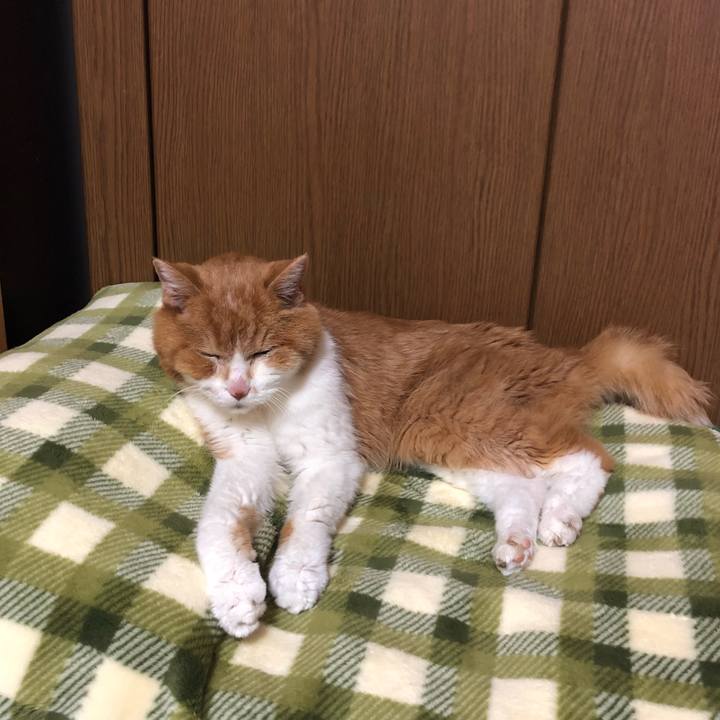 Dd24cdb8 c2a2 459b 935b 6833a834c2fd 1543487110449