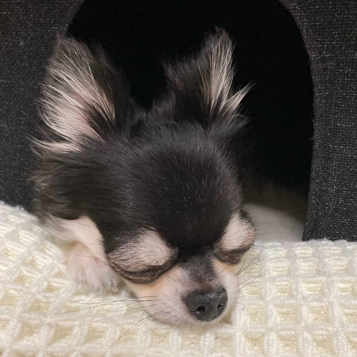 Dd24d450 0bd6 4f40 acd9 d24ad749df36 1659275286430