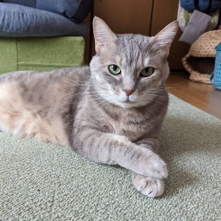 Dd24f703 9471 4080 811f 0bc42e62285a 1710996630475