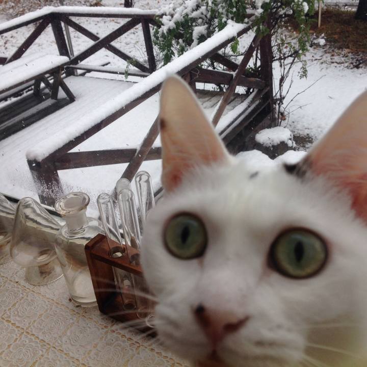 Dd250aa1 16d3 4d84 9435 87f5f232fa5e 1509753295014