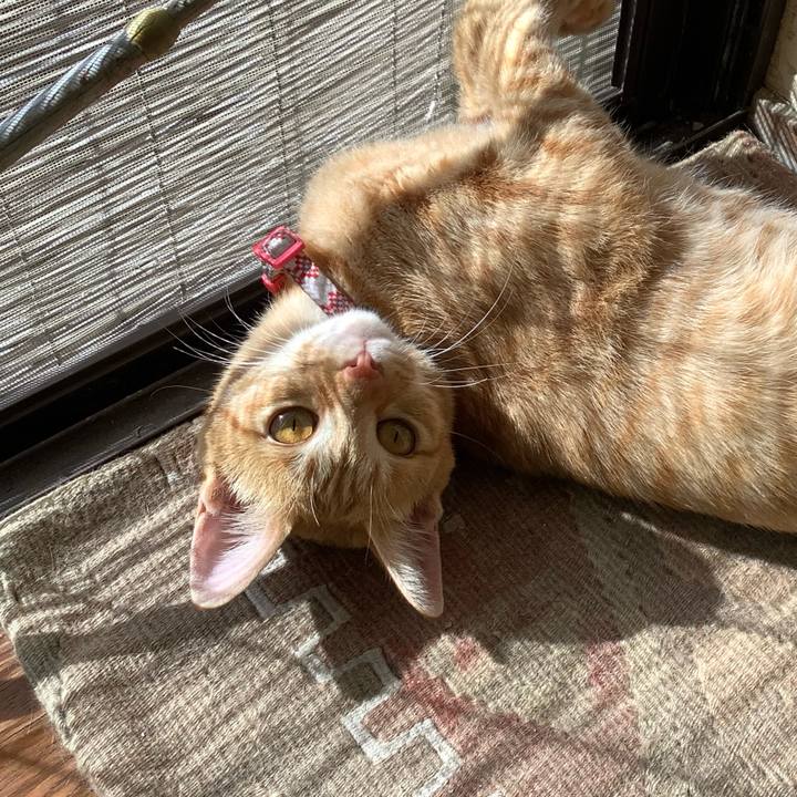 Dd251f4a 5281 44cf 8a24 c85bf926c5b5 1759057570849