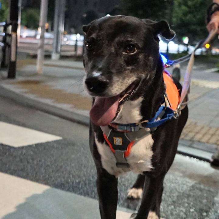 Dd255d92 a157 4c46 8435 859b6422cd2f 1759576053614