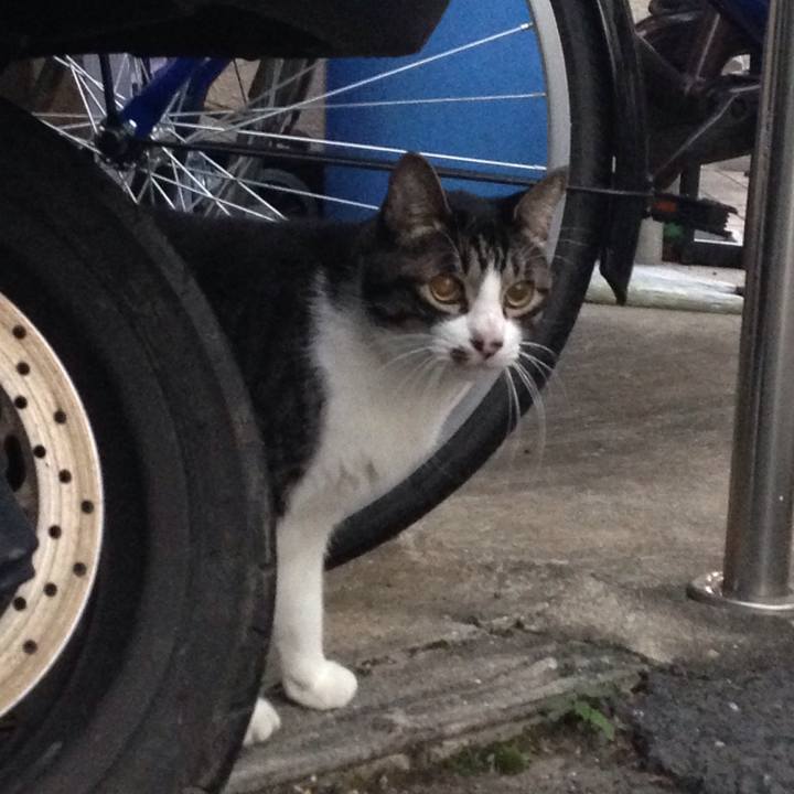 Dd256f18 2253 41a6 a7f5 c2bb6f276131 1509108363529