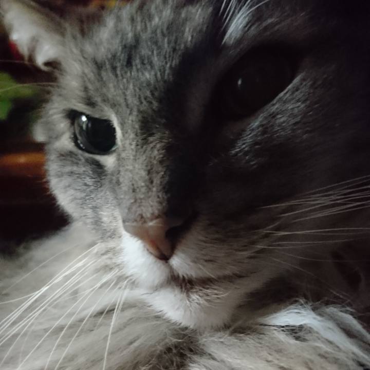 Dd2578f8 3c5d 4252 9145 1c6163095e32 1765547006427