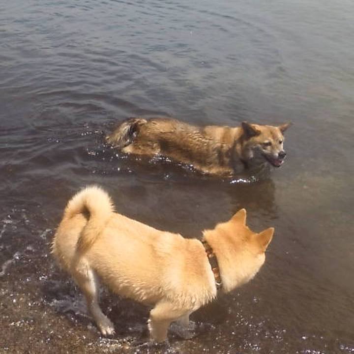 Dd25a50f edd4 4fce b6dd 0373c30e58bf 1604418283054