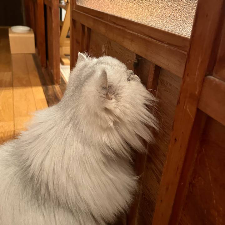 Dd25b439 43c4 48ad 9f62 a0b4aa022c48 1640135310266