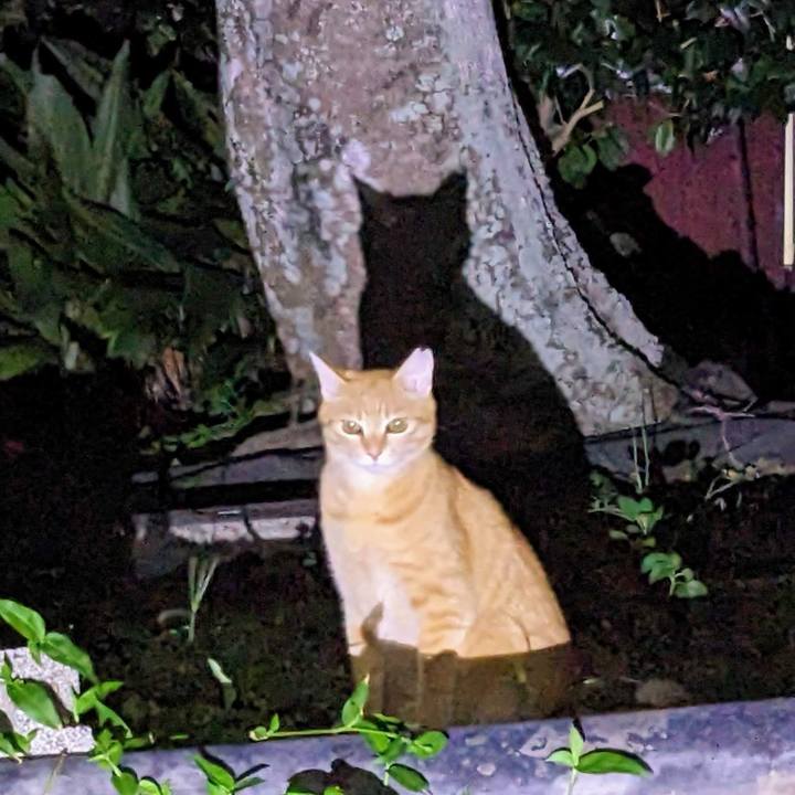 Dd25cb75 dd90 4946 b258 2a4bc6ca0094 1757937248310