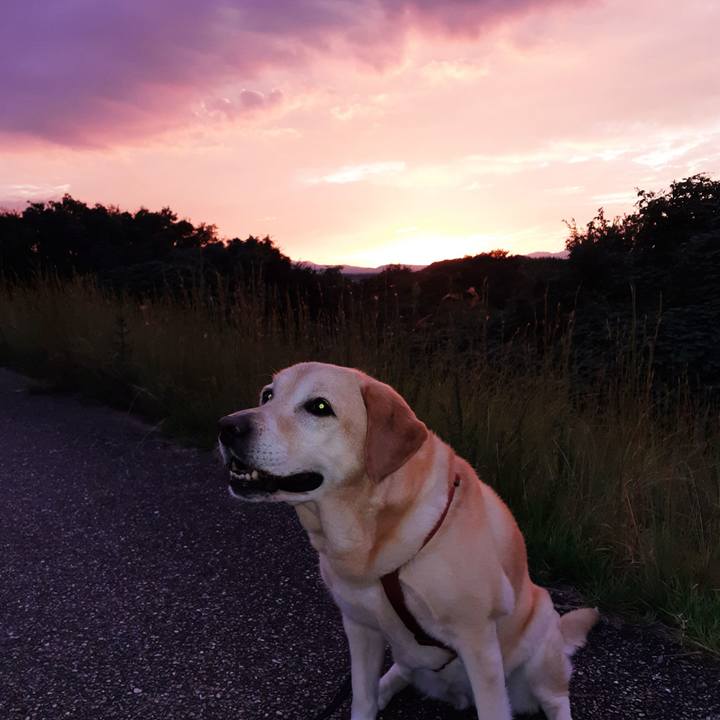 Dd25f6ff abd0 45d6 b3a5 8936c38517ee 1664452179965