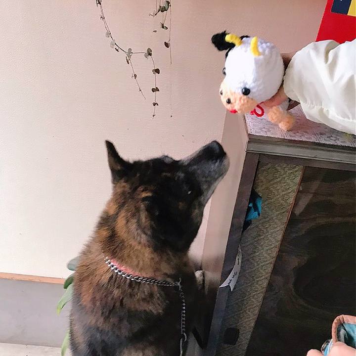 Dd25fdd4 1263 44de 9bfd c0aec75c9f53 1617117787668