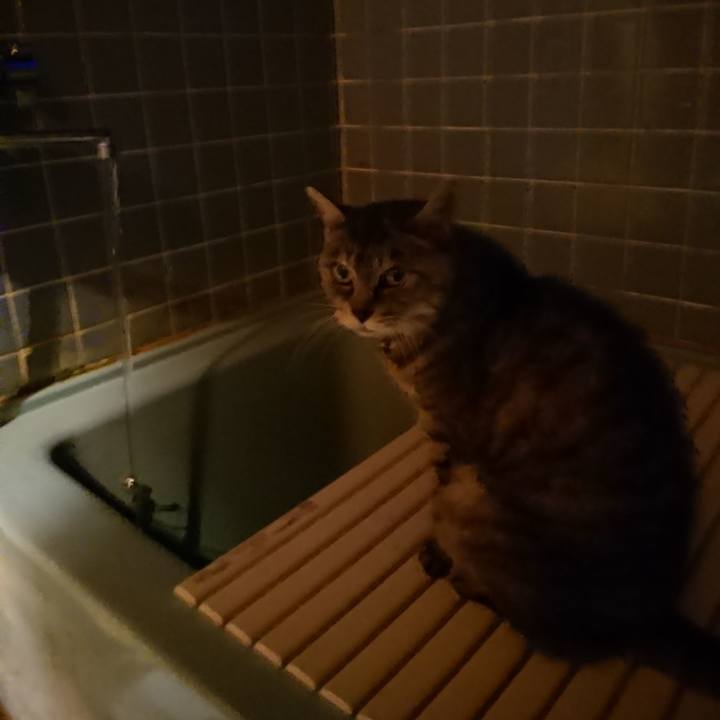 Dd25fdeb 6b04 4552 bc05 1ff536a1cded 1570868745890