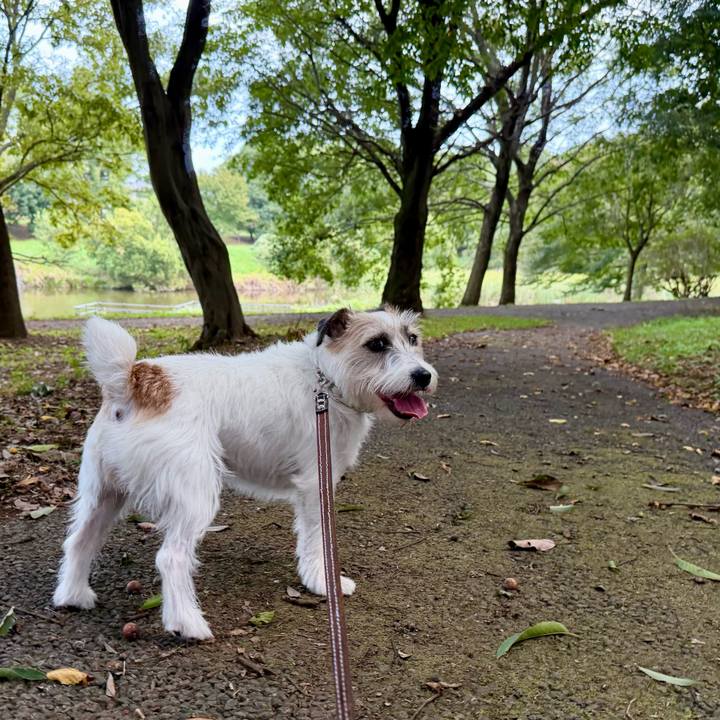 Dd2609a6 f761 4e30 93f8 f97b9133d798 1759867270282