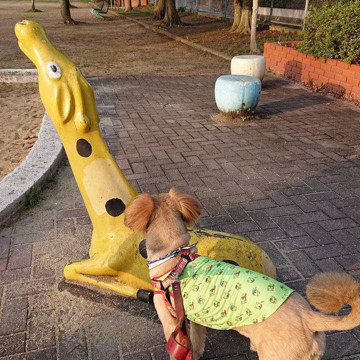 Dd26105e 7447 4fe2 b32d 1717a267f2dd 1553036707866