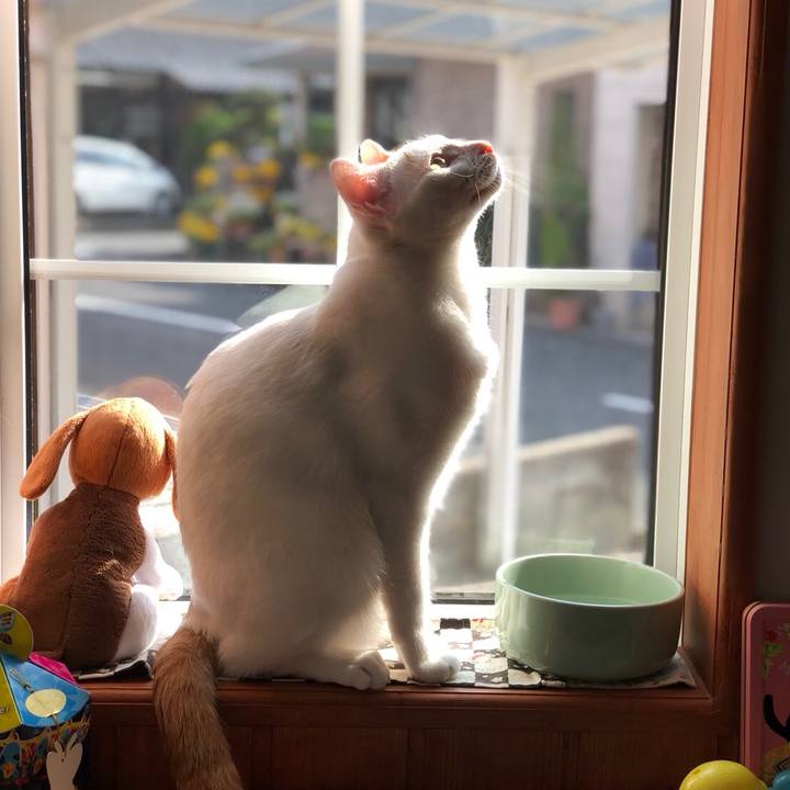 Dd26162e f765 4fba a9bb 6ed1b931bc93 1523271738652