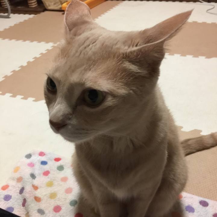 Dd26477e b986 454f b994 e56efcde869d 1533669230323