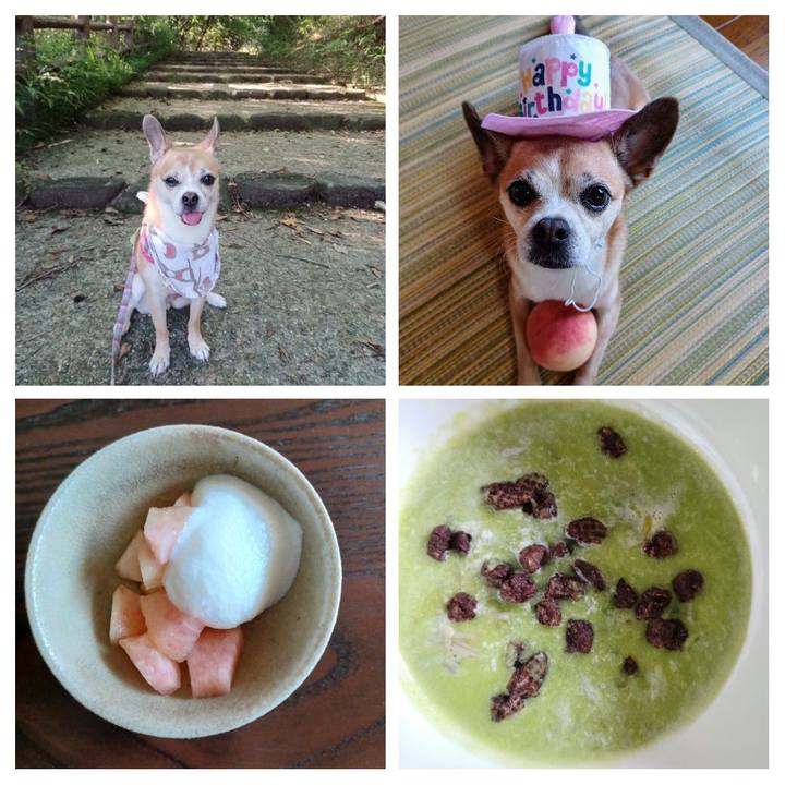 Dd265794 4980 493c a37e 1aa91ad033b2 1659258000979