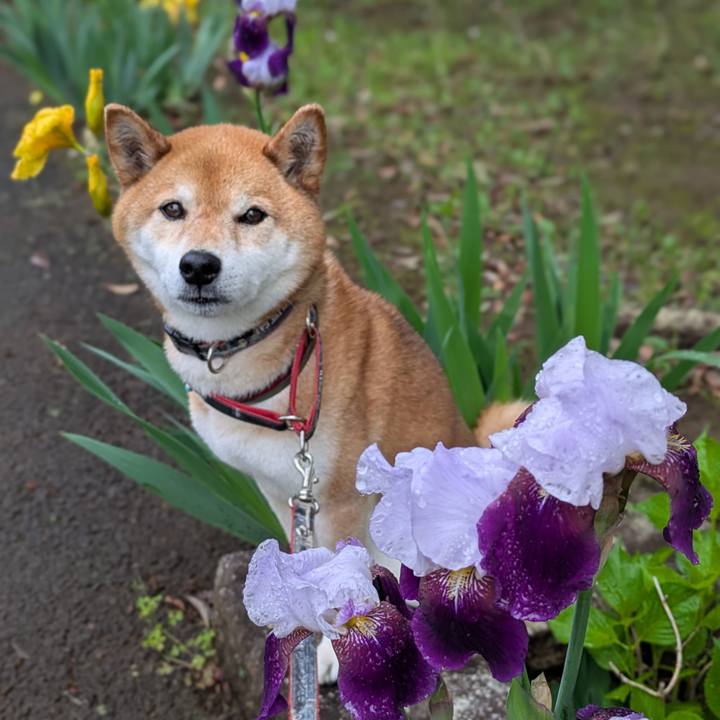 Dd266a4f ffeb 46b0 9189 f928528d87be 1746874968299