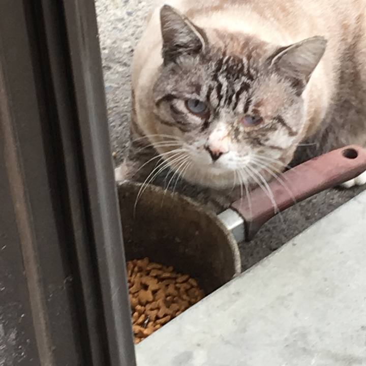 Dd26bcb6 eef6 4749 b23d fdb6c6bfd2d6 1542299985593