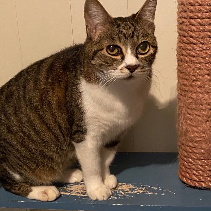 Dd26f5ee e397 46db 8b2b be922fe080ae 1590143417901