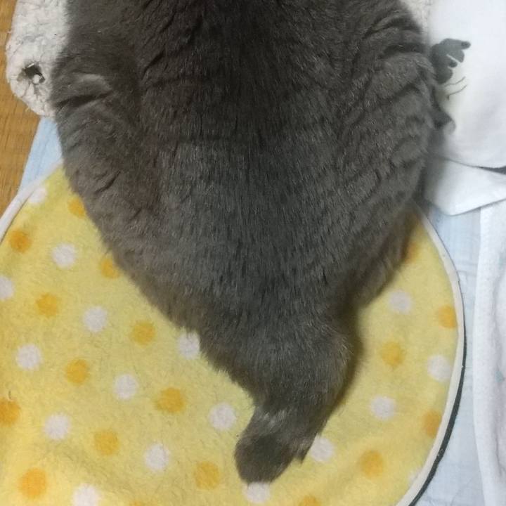 Dd274860 39dc 45ee 902d 846d2908f386 1654610390844