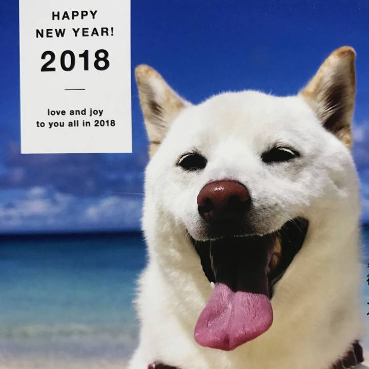 Dd277bcf 2852 4af9 aed7 4eccf7402334 1514738626041