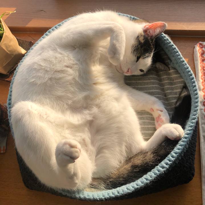 Dd277cd4 9904 49b8 9f7e 53fd74bcffa7 1714258482919