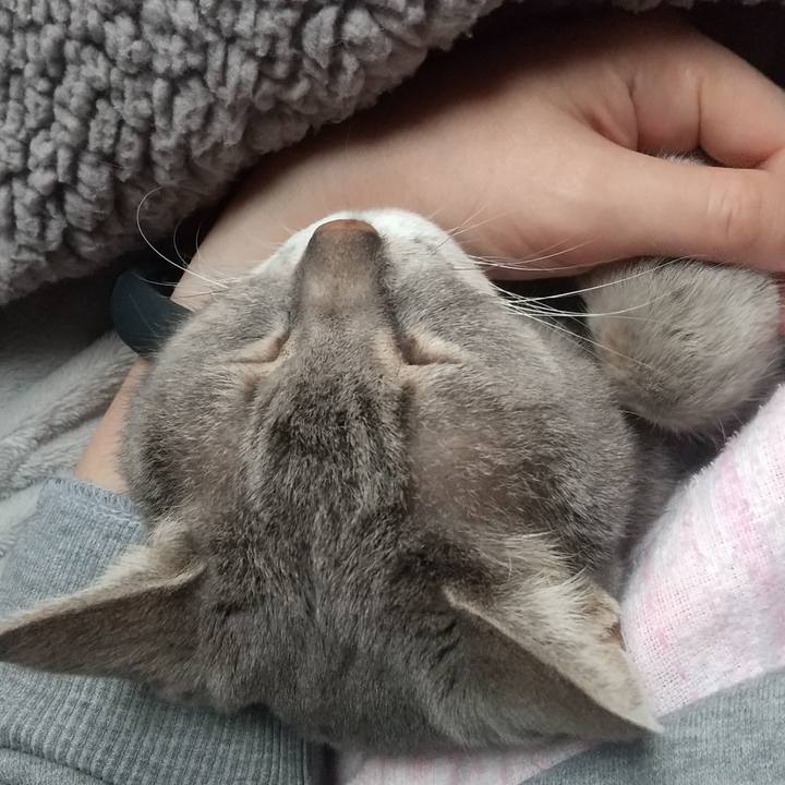 Dd2793ec 2b9c 4336 b522 5b11f67f24a6 1682486809907