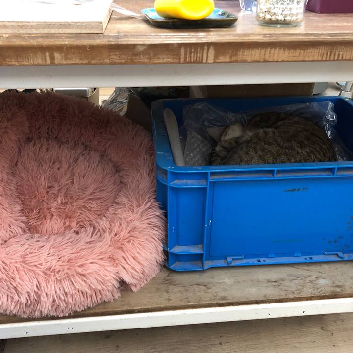 Dd27ff1a fed6 444f 822c 0c3fd970c968 1642408356762