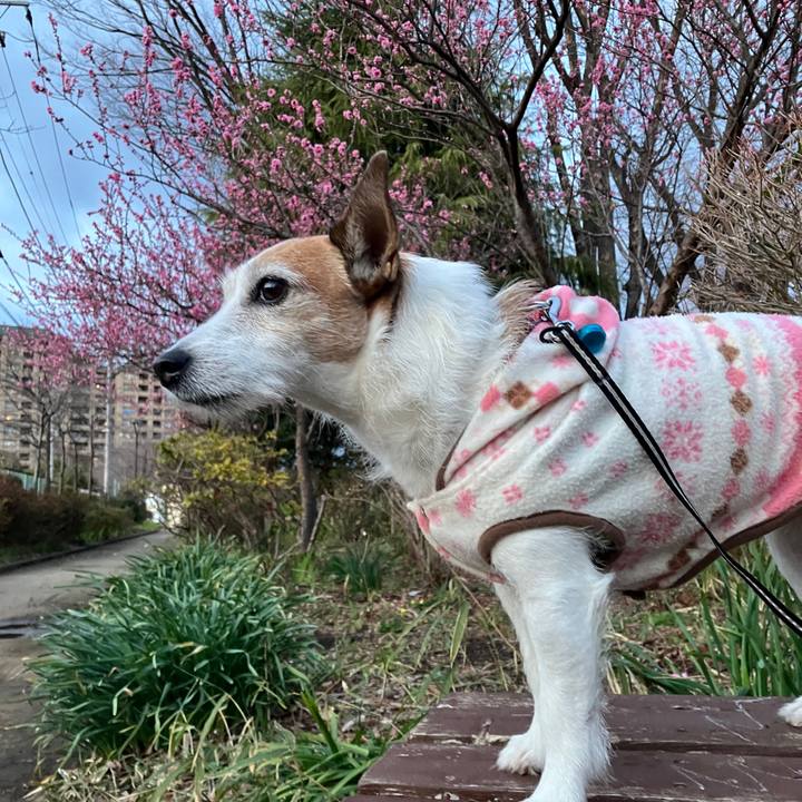 Dd289d1f 1295 4cae 9f2c 70717a85397d 1709941059604