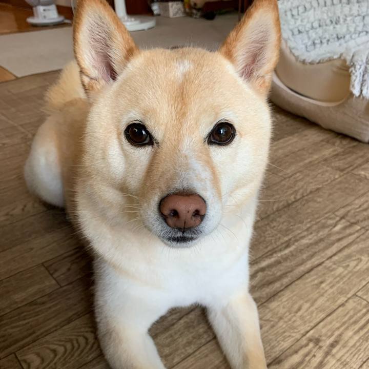 Dd28a7f0 5452 45f0 b445 5addeee6d0a4 1657344886885